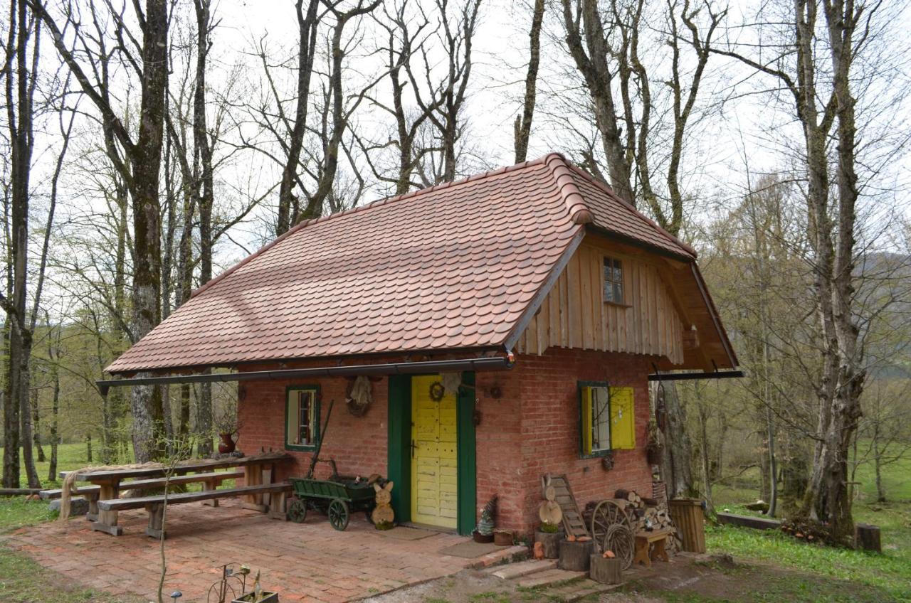 Apartma Nika Planina  Exterior foto